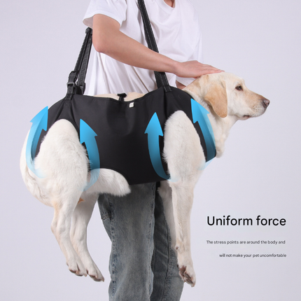 Pet Care.