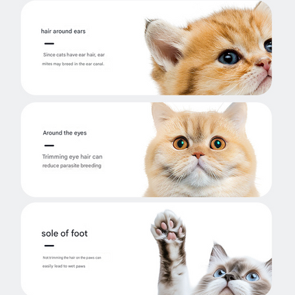 Pet Care Cartoz.