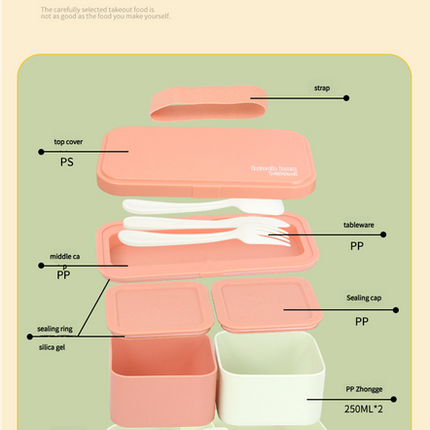 Eco - Friendly Lunch Box - Portable with Compartments(black).