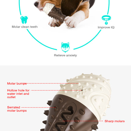 Pet Care Cartoz.