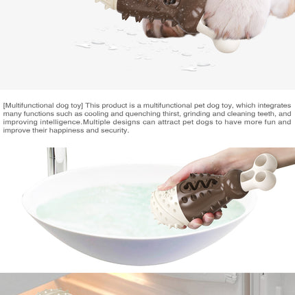 Pet Care Cartoz.