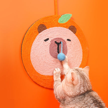 Pet Care Cartoz.