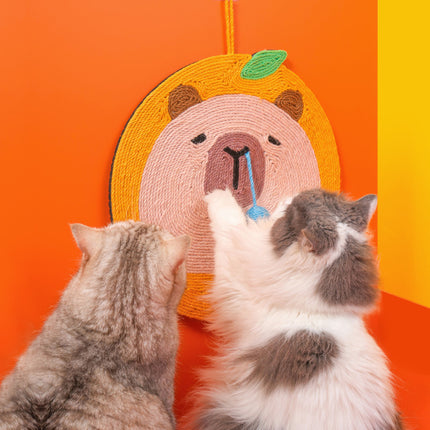 Pet Care Cartoz.