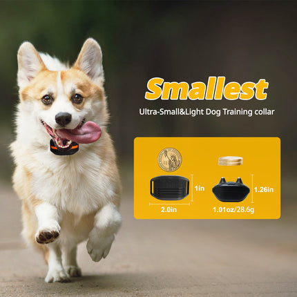 Ultra-Small & Lightweight Dog Training Collar with Remote - 3 Modes, Adjustable Levels, Fits All Sizes(black).