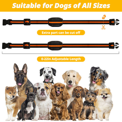 Ultra-Small & Lightweight Dog Training Collar with Remote - 3 Modes, Adjustable Levels, Fits All Sizes(black).