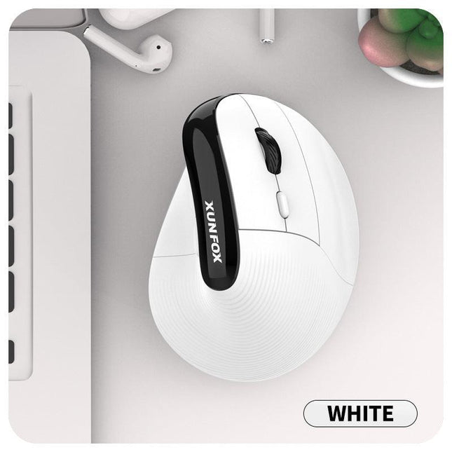 Electronics > Computer Accessories > Mouse & Accessories.