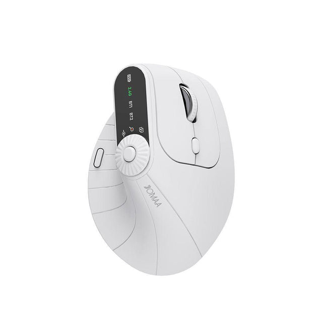 Electronics > Computer Accessories > Mouse & Accessories.