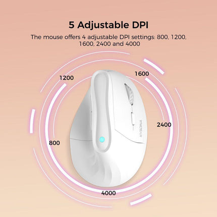 Ergonomic Vertical Mouse - Multi-Device Bluetooth5.0 & 2.4G Wireless, Adjustable DPI, Silent Click(white).