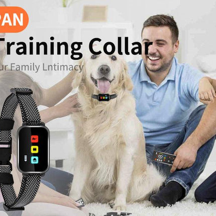 Rechargeable Dog Training Collar with Remote - 2600ft Range, 3 Modes(black).