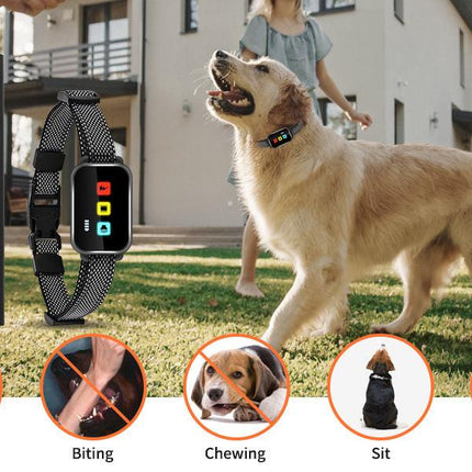 Rechargeable Dog Training Collar with Remote - 2600ft Range, 3 Modes(black).
