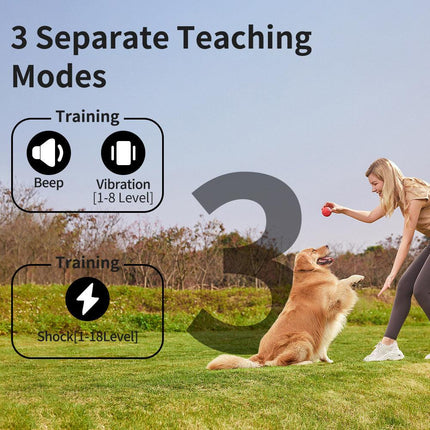 Rechargeable Dog Training Collar with Remote - 2600ft Range, 3 Modes(black).