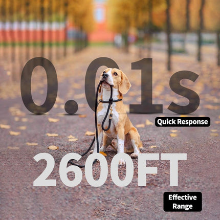 Rechargeable Dog Training Collar with Remote - 2600ft Range, 3 Modes(black).