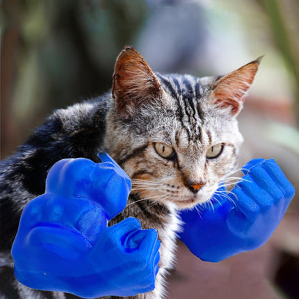 Pet Care.