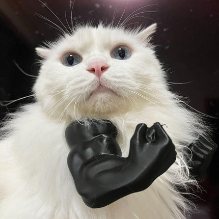 Pet Care.