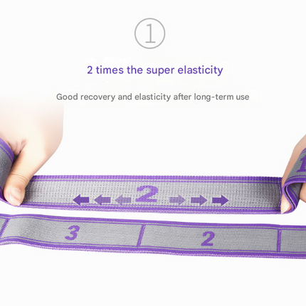 Blue and Purple 9-Loop Yoga Stretch Strap - Numbered Band for Flexibility and Physical Therapy.