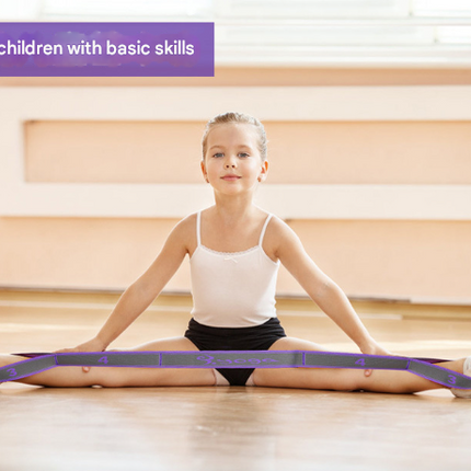 Blue and Purple 9-Loop Yoga Stretch Strap - Numbered Band for Flexibility and Physical Therapy.