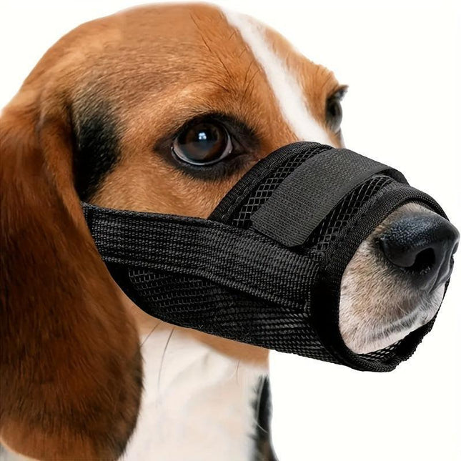 Pet Care.