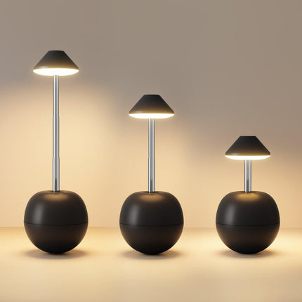 Black Creative Tumbler LED Night Light - Rechargeable RGB Desk Lamp with Remote Control - Height Adjustable, Brightness Adjustable, Bedside Ambient Light.