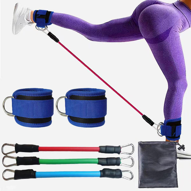 Blue  Silver SnapResistance Bands Set with Ankle Straps for Glute Kickbacks & Leg Workouts (10-30lbs).