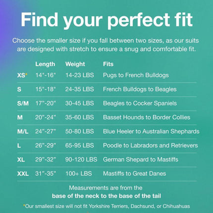 L Blue Premium Pet Physiological Suit - Comfortable & Breathable Bamboo Modal Recovery Suit.