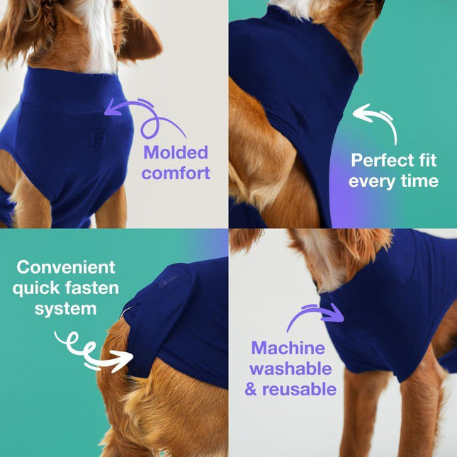 XL Blue Premium Pet Physiological Suit - Comfortable & Breathable Bamboo Modal Recovery Suit.