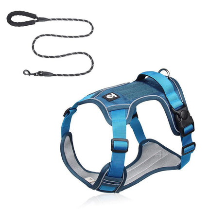 Blue S Adjustable No-Pull Dog Harness and Leash Set - Reflective & Padded Vest for Medium to Large Dogs.