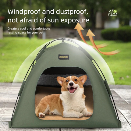 Pet Care Cartoz.