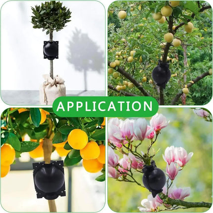 5-Pack Transparent Reusable Plant Air Layering Propagation Pod (Diameter: 5cm) - Anti-Waterlogging Grafting Root Ball Rooting Device for Flower & Fruit Trees.