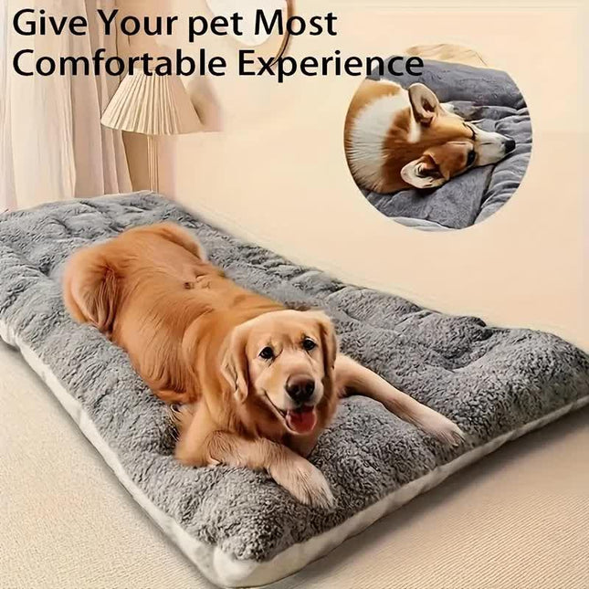 Pet Care.