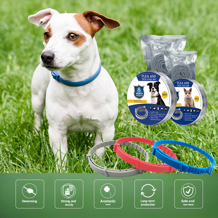 Pet Care.