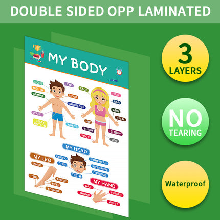 12-Pack Educational Posters for Kids - Laminated Preschool & Kindergarten Learning Charts - ABCs, Numbers, Shapes, Solar System, Weather & More.