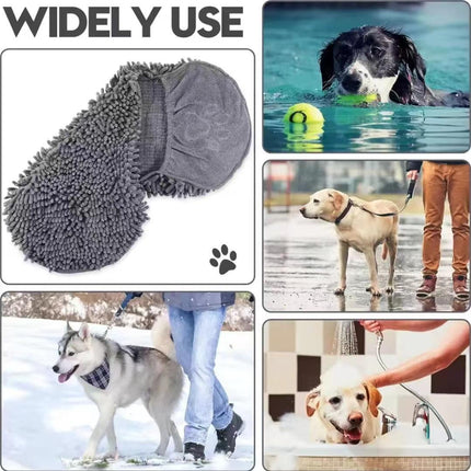 Pet Care.