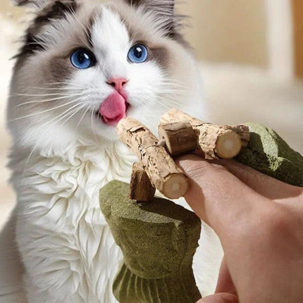 Green 5 Pack Cat Catnip Toys Fish Bone Shaped Silvervine Chew Sticks for Teeth Cleaning and Interactive Play.