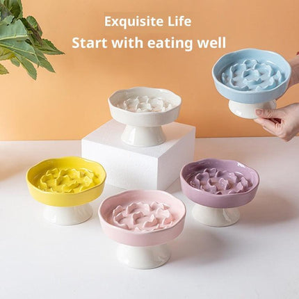 White Ceramic Elevated Slow Feeder Bowl Raised Pet Dish 310ml Anti-Vomit Puzzle Design for Cats and Small Dogs Healthy Digestion Sturdy Base.