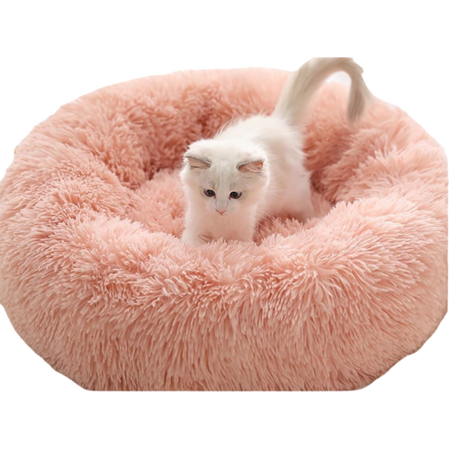 Pet Care.