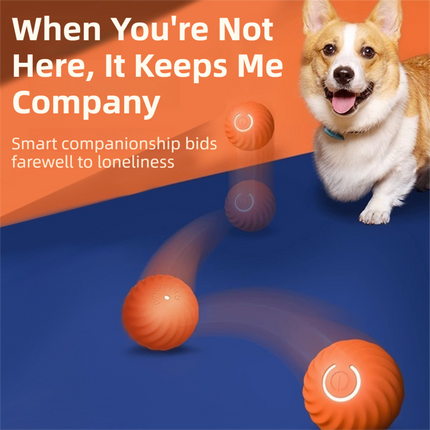 Pet Care.