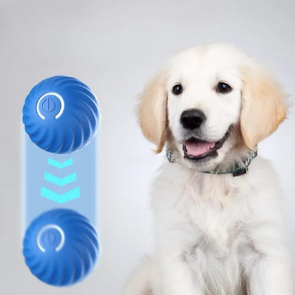 Pet Care.