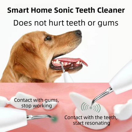 Professional Waterproof Ultrasonic Pet Tooth Cleaner - Dog Cat Painless Calculus and Stain Remover Kit with 4 Cleaning Heads, LED, UV Disinfection, Oral Mirror & Dental Floss.