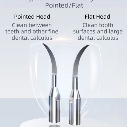 Professional Waterproof Ultrasonic Pet Tooth Cleaner - Dog Cat Painless Calculus and Stain Remover Kit with 4 Cleaning Heads, LED, UV Disinfection, Oral Mirror & Dental Floss.