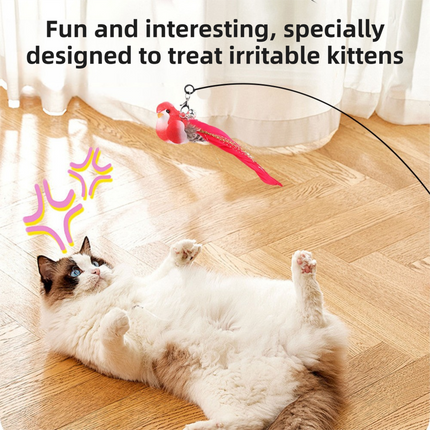 Interactive Self-Play Cat Wand with Suction Base, Feather & Bell - Automatic Bouncing Teaser(Black).