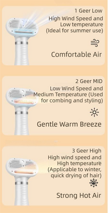 Green 6-in-1 Pet Grooming Hair Dryer with Noise-Reduction - Lightweight Handheld Blow Dryer & Mist Slicker Brush - 3-Speed Temperature Control, One-Click Deshedding & Painless Massage.