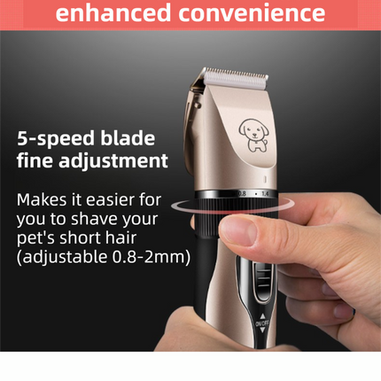 Pet Care Cartoz.