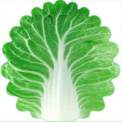 Cute Cabbage-Shaped Fleece Blanket – Fun and Cozy Throw for Naps, Office Use, Air Conditioning, or Baby Swaddling (Green & White)(100cm*100cm).