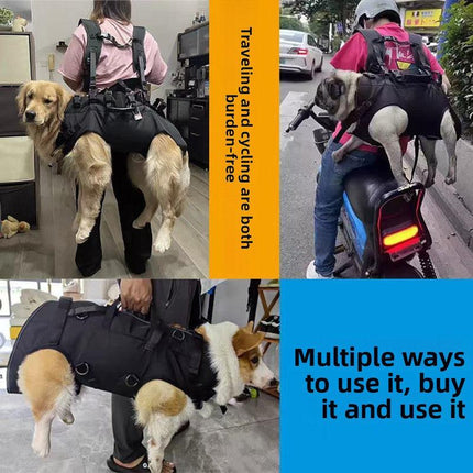 Pet Care Cartoz.