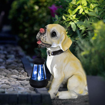 Home & Garden Cartoz.