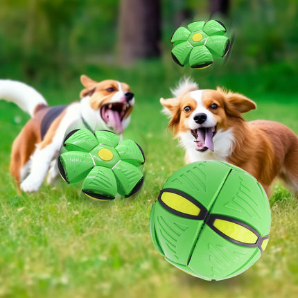 Blue Transformable Dog Toy – Dual-Mode Bouncing Ball & Flying Disc for Interactive Play, Durable Chewing, and Mental Stimulation.