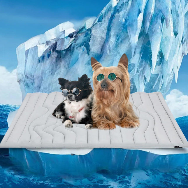 Pet Care.