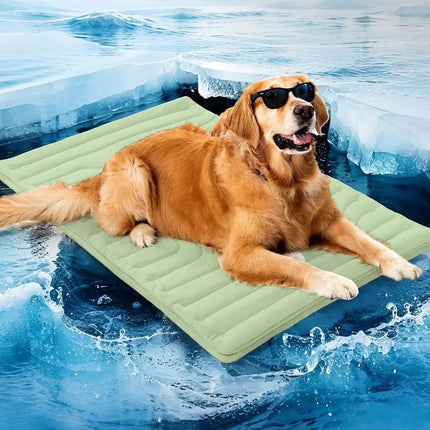 Pet Care.