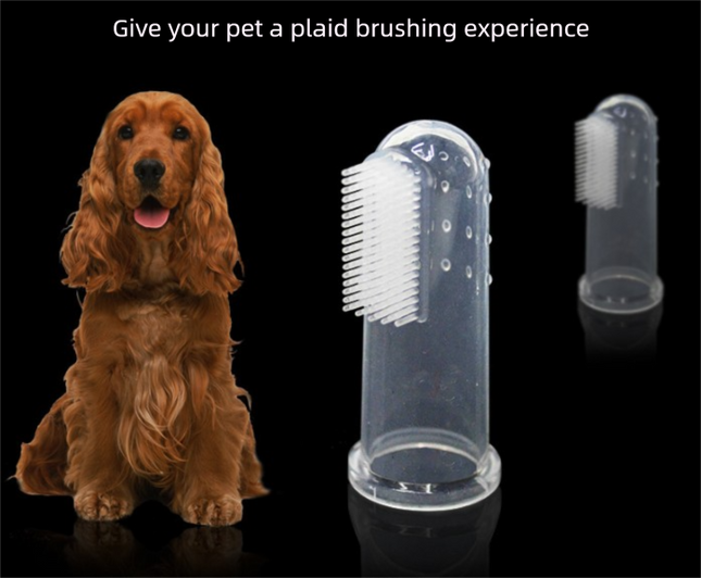 Pet Care.