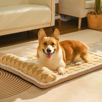 Pet Care Cartoz.